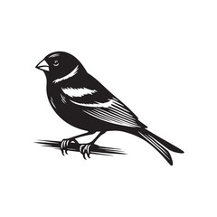 Contemporary Canary silhouette for creative projects - Canary black vector
