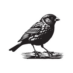 Stylish Canary silhouette for various applications - Canary illustration - minimallest Canary vector
