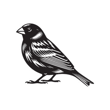 recommend clip art: Simplified Canary silhouette for digital designs - Canary illustration - minimallest Canary vector
                    