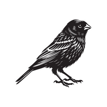 Canary clip art preview