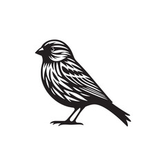 Contemporary Canary silhouette for creativity - Canary black vector
