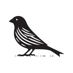 Versatile digital Canary silhouette - Canary black vector
