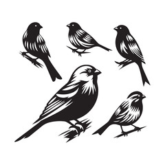 Versatile Canary silhouette for multiple uses - Canary black vector
