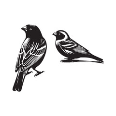 Artistic inspiration with Canary silhouette - Canary illustration - minimallest Canary vector
