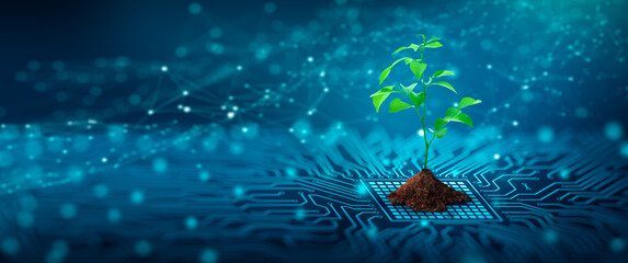 Tree with soil growing on  the converging point of computer circuit board. Blue light and wireframe network background. Green Computing, Green Technology, Green IT, csr, and IT ethics Concept.