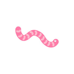 Pink worm illustration