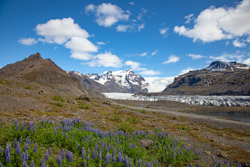 Svinafellsjokull Glacier