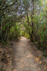 Trail from Bella Vraka beach to Mourtemeno beach in Syvota, Greece