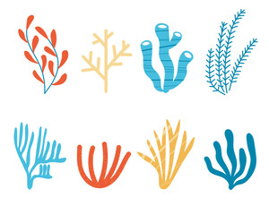 Fototapeta premium Set with different corals, algae and seaweed hand drawn vector illustration on isolated background, marine motif. Deep sea creatures, ocean flora, fauna, summer time. Underwater biodiversity