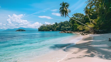 Tropical Beach with Turquoise Water and Palm Trees