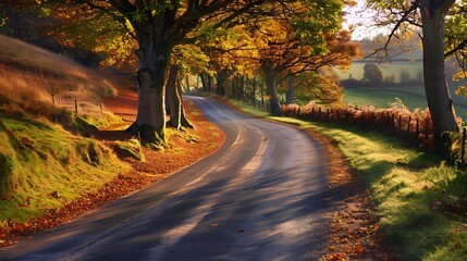 Obraz premium Serene Countryside Road Lined with Autumn Trees