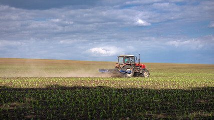 Fototapeta premium Sowing, tractor in the field. Spring sowing of grain crops. Corn in the field. Village and people.Agro-industrial lands.