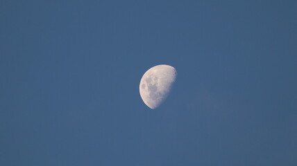 Blue Moon - Brazil