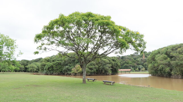 Park Tingui path, Curitiba, Paran&aacute;