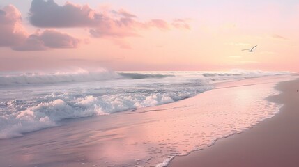 Fototapeta premium Tranquil Beach Sunrise with Soft Waves and Seagull