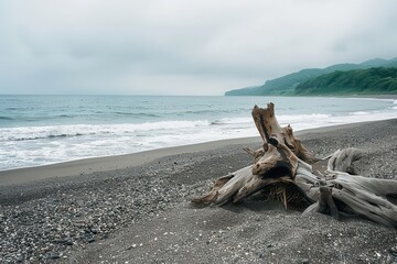 serene hokkaido beach with intricate driftwood sculptures coastal serenity landscape