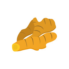 Ginger root rhizome herb flat design vector illustration isolated on white background. Healthy food icon Medicinal and edible plant ginger. Image for food spices and herbal packs design.
