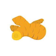 Ginger root rhizome herb flat design vector illustration isolated on white background. Healthy food icon Medicinal and edible plant ginger. Image for food spices and herbal packs design.