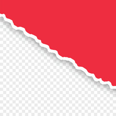 torn paper on transparent background