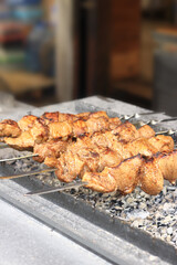 Kebabs on skewers, close-up. Food court at the fair, outdoor cooking. Hot and tasty food. Cooking shish kebab on coals. Grilled kebab cooked on a metal skewer