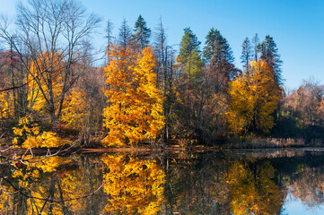tarrywile state park autumn danbury Connecticut