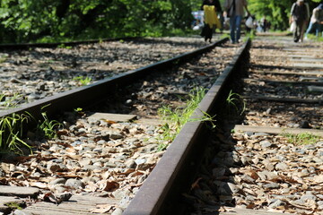 Naklejka premium Keage Incline (old train tracks) in Kyoto, Japan