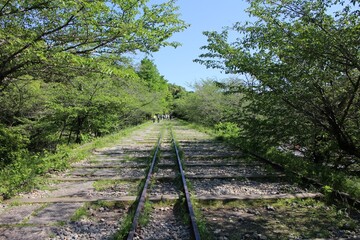 Fototapeta premium Keage Incline (old train tracks) in Kyoto, Japan