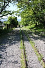 Keage Incline (old train tracks) in Kyoto, Japan