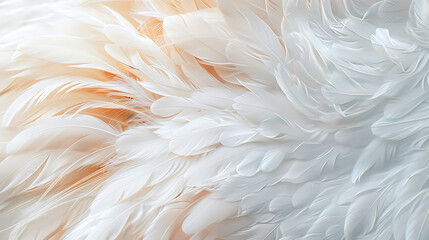 Fototapeta premium A delicate and detailed close-up of bird wings in soft pastel colors The intricate feather patterns and gentle hues create a serene and captivating image 