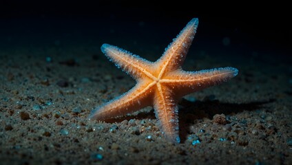 A marine biologist's discovery of a rare, bioluminescent starfish deep in the ocean trench ai_generated