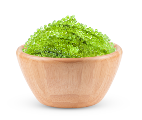 Sea grapes ( green caviar ) seaweed in wood bowl isolated on transparent png