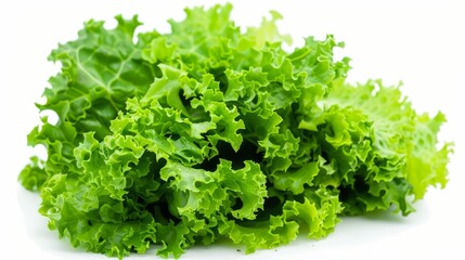 Vibrant green lettuce leaves isolated on white for culinary concepts.