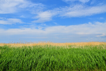 A field under cultivation in spring, Québec, Canada