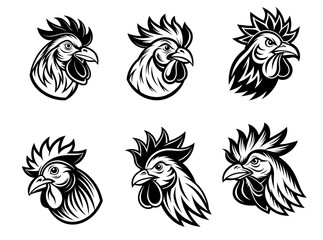 Obraz premium black and white rooster