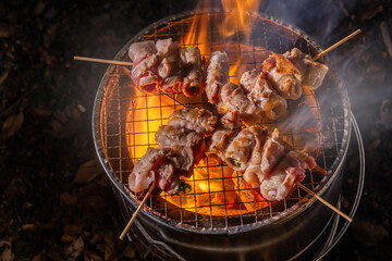 炭火でアウトドア料理　 outdoor barbecue with charcoal fire