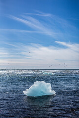 Melting glaciers during sunset. Global warming. Ice floes floating in the water. Untouched nature....