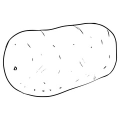 potato illustration hand drawn outline vector