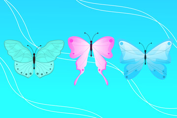 vector butterfly with various colors