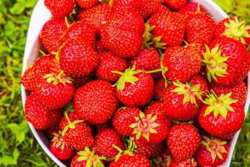 Macro view of a harvest of ripe red strawberries in a bowl.