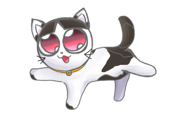 White cat