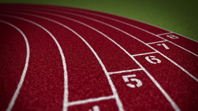 Animation of 200 meter running race in real time. Duration of race and number of strides are equivalent to a world-class performance. Race track is to correct scale.