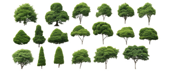Fototapeta premium Collection of various tree species with dense foliage, isolated with transparent concept. Ideal for landscaping and nature projects.