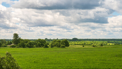 Fototapeta premium Air sunny summer landscape with large meadow, far forest under blue sky with white clouds. Natural summer background.
