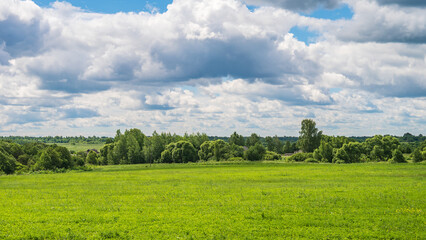 Air sunny summer landscape with large meadow, far forest under blue sky with white clouds. Natural summer background.