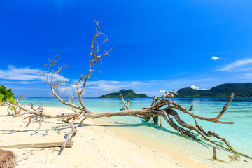 beautiful beach at Mantabuan Island, Samporna Sabah