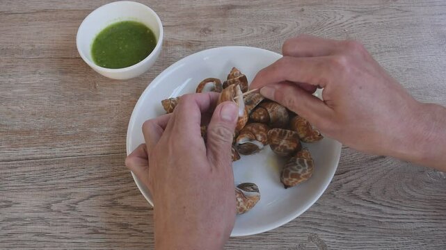 hand using toothpick stabbing grilled spotted or areola Babylon from shell on plate dipping with Thai spicy seafood sauce