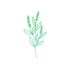 Fototapeta premium orchid flower line vector logo design