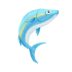 Blue Ocean Fish, Illustration