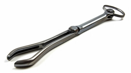 Obraz premium Engine Cylinder Head Valve Stem Seal Pliers: Removes and installs valve stem seals easily isolated on white background