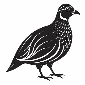 recommend clip art: quail silhouette black vector illustration art